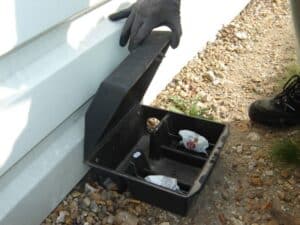 Expert en dératisation pour se débarrasser des rats à Mandelieu-la-Napoule